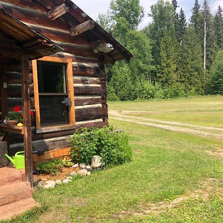 Mini-Mooh Cabin 클리어워터비치 외부 사진